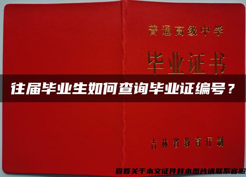 往届毕业生如何查询毕业证编号？