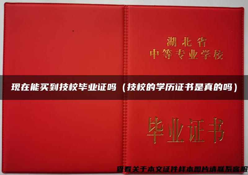 现在能买到技校毕业证吗（技校的学历证书是真的吗）