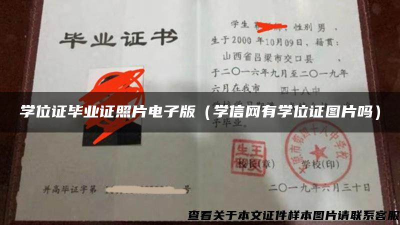 学位证毕业证照片电子版（学信网有学位证图片吗）