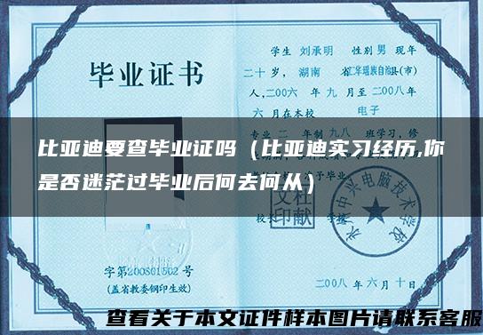 比亚迪要查毕业证吗（比亚迪实习经历,你是否迷茫过毕业后何去何从）