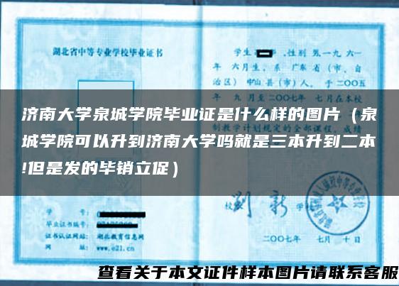 济南大学泉城学院毕业证是什么样的图片（泉城学院可以升到济南大学吗就是三本升到二本!但是发的毕销立促）