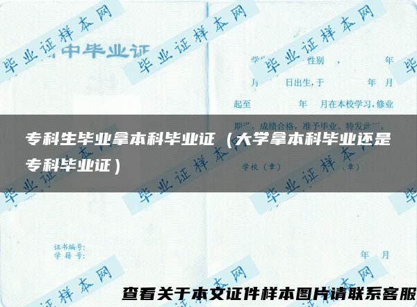 专科生毕业拿本科毕业证（大学拿本科毕业还是专科毕业证）