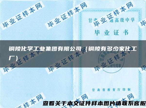 铜陵化学工业集团有限公司（铜陵有多少家化工厂）