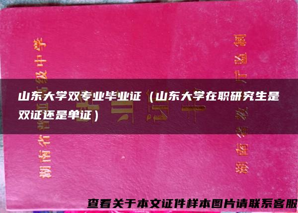 山东大学双专业毕业证（山东大学在职研究生是双证还是单证）