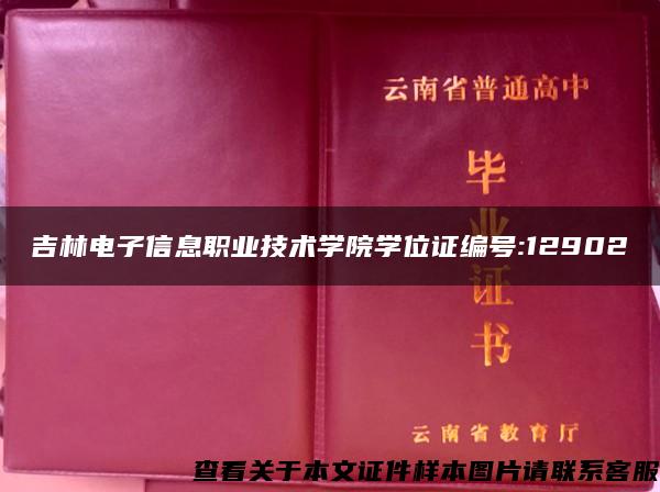 吉林电子信息职业技术学院学位证编号:12902