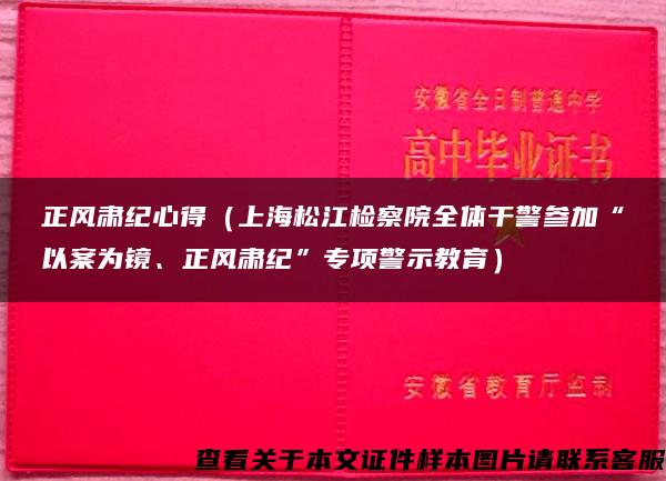 正风肃纪心得（上海松江检察院全体干警参加“以案为镜、正风肃纪”专项警示教育）