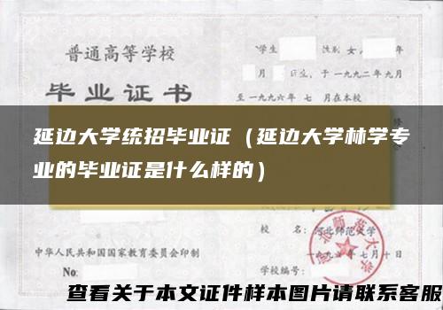 延边大学统招毕业证（延边大学林学专业的毕业证是什么样的）