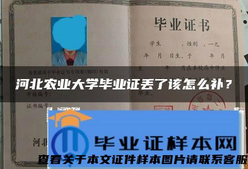 河北农业大学毕业证丢了该怎么补？