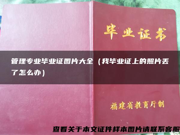 管理专业毕业证图片大全（我毕业证上的照片丢了怎么办）