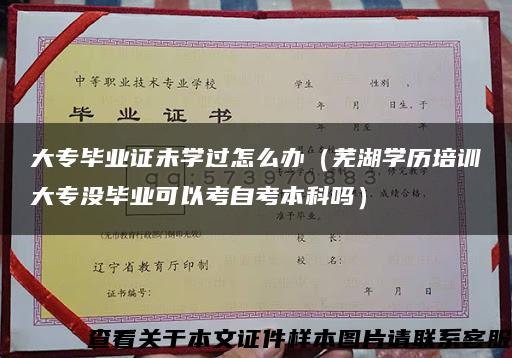 大专毕业证未学过怎么办（芜湖学历培训大专没毕业可以考自考本科吗）