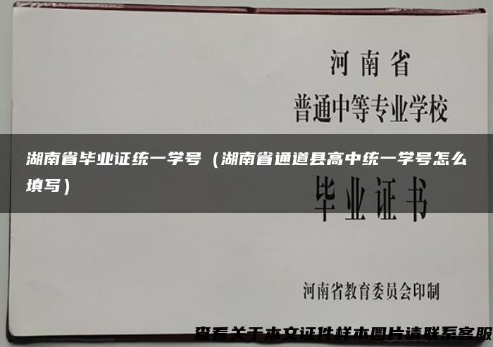 湖南省毕业证统一学号（湖南省通道县高中统一学号怎么填写）