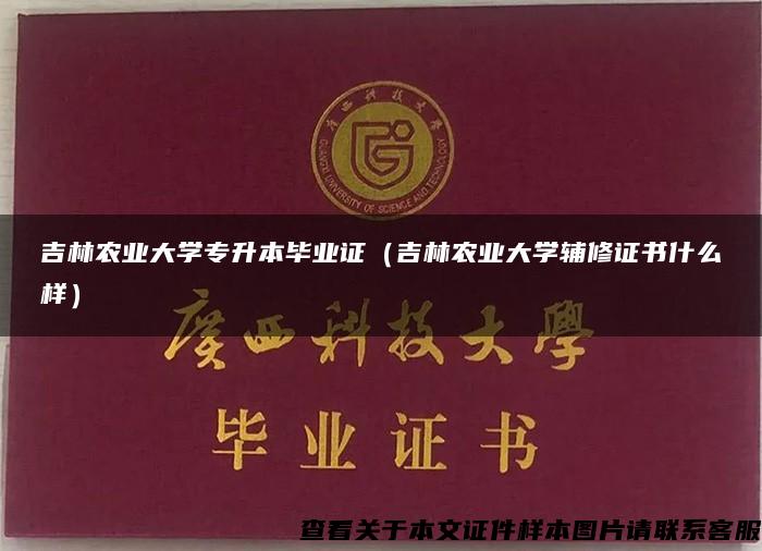 吉林农业大学专升本毕业证（吉林农业大学辅修证书什么样）