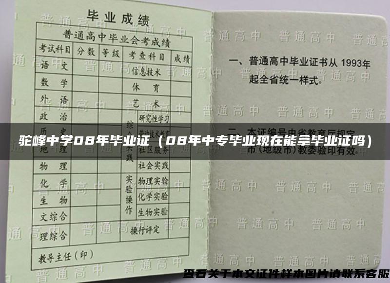 驼峰中学08年毕业证（08年中专毕业现在能拿毕业证吗）