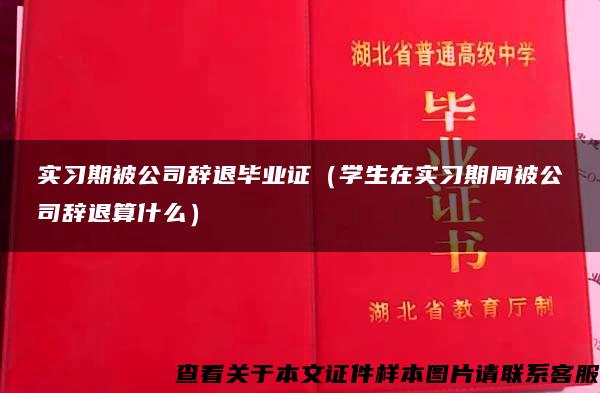 实习期被公司辞退毕业证（学生在实习期间被公司辞退算什么）