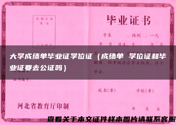 大学成绩单毕业证学位证（成绩单 学位证和毕业证要去公证吗）