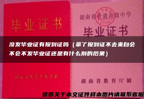 没发毕业证有报到证吗（拿了报到证不去来自会不会不发毕业证还是有什么别的后果）