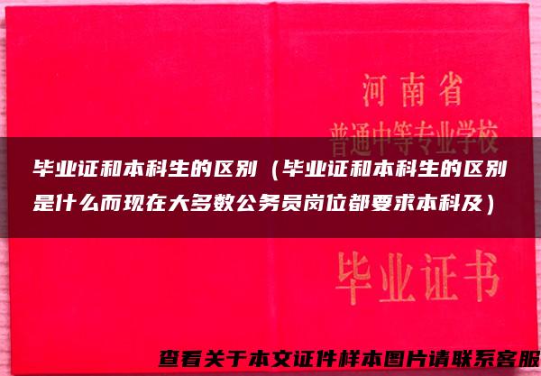 毕业证和本科生的区别（毕业证和本科生的区别是什么而现在大多数公务员岗位都要求本科及）