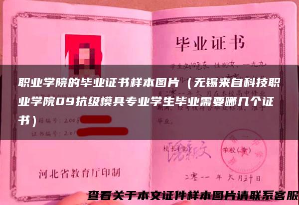 职业学院的毕业证书样本图片（无锡来自科技职业学院09抗级模具专业学生毕业需要哪几个证书）