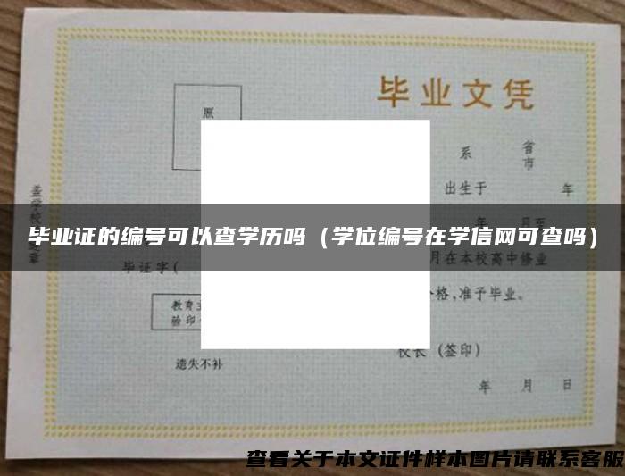 毕业证的编号可以查学历吗（学位编号在学信网可查吗）