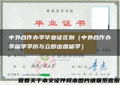 中外合作办学毕业证区别（中外合作办学留学学历与立即出国留学）