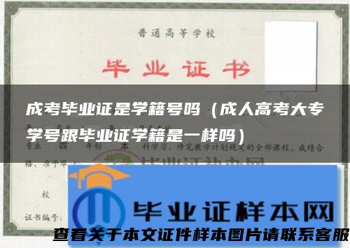 成考毕业证是学籍号吗（成人高考大专学号跟毕业证学籍是一样吗）