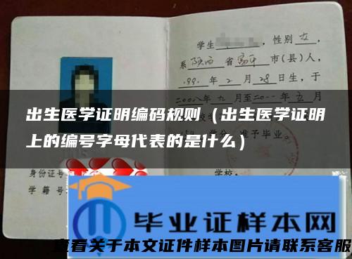 出生医学证明编码规则（出生医学证明上的编号字母代表的是什么）