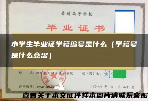 小学生毕业证学籍编号是什么（学籍号是什么意思）