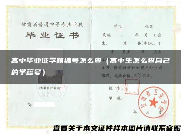 高中毕业证学籍编号怎么查（高中生怎么查自己的学籍号）