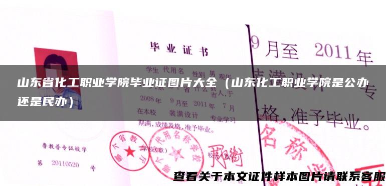 山东省化工职业学院毕业证图片大全（山东化工职业学院是公办还是民办）