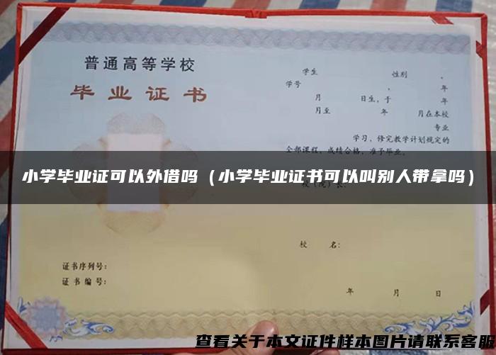 小学毕业证可以外借吗（小学毕业证书可以叫别人带拿吗）