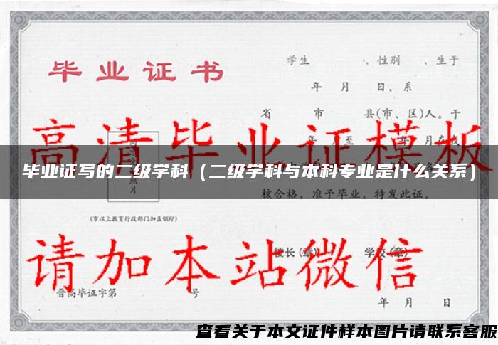 毕业证写的二级学科（二级学科与本科专业是什么关系）