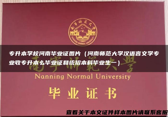 专升本学校河南毕业证图片（河南师范大学汉语言文学专业收专升本么毕业证和统招本科毕业生一）