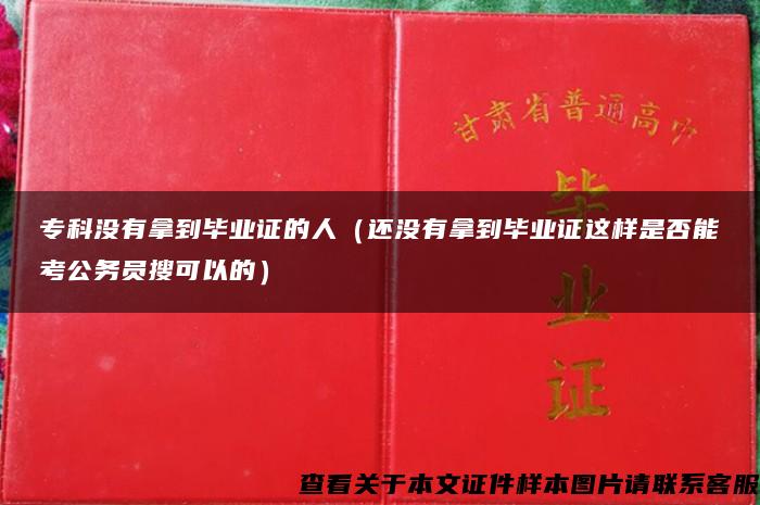 专科没有拿到毕业证的人（还没有拿到毕业证这样是否能考公务员搜可以的）