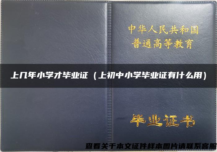 上几年小学才毕业证（上初中小学毕业证有什么用）