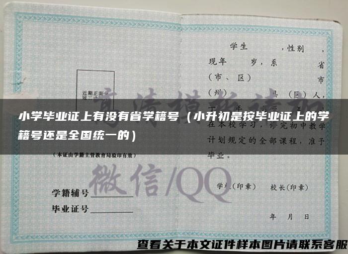 小学毕业证上有没有省学籍号（小升初是按毕业证上的学籍号还是全国统一的）