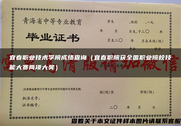 宜春职业技术学院成绩查询（宜春职院获全国职业院校技能大赛两项大奖）