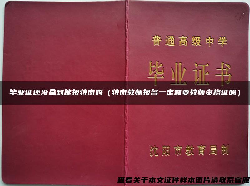 毕业证还没拿到能报特岗吗（特岗教师报名一定需要教师资格证吗）