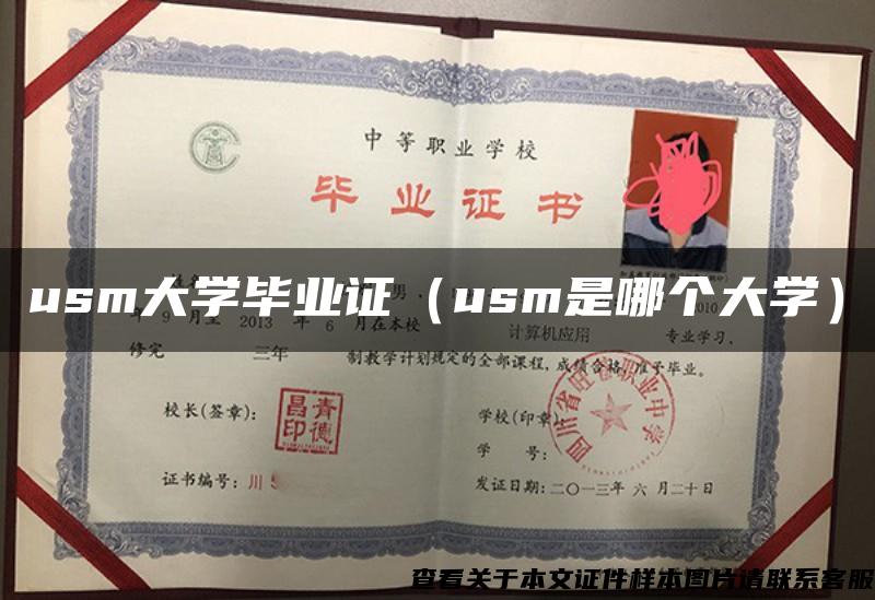 usm大学毕业证（usm是哪个大学）