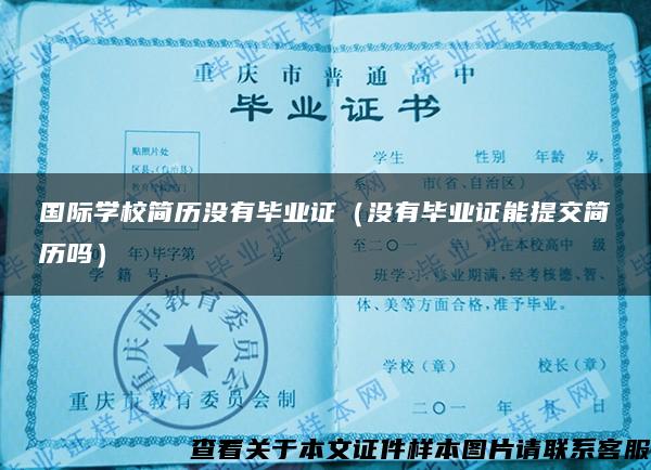 国际学校简历没有毕业证（没有毕业证能提交简历吗）