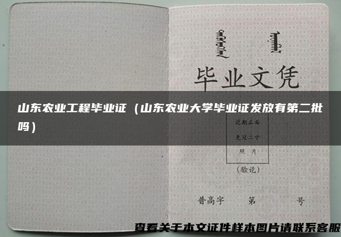 山东农业工程毕业证（山东农业大学毕业证发放有第二批吗）