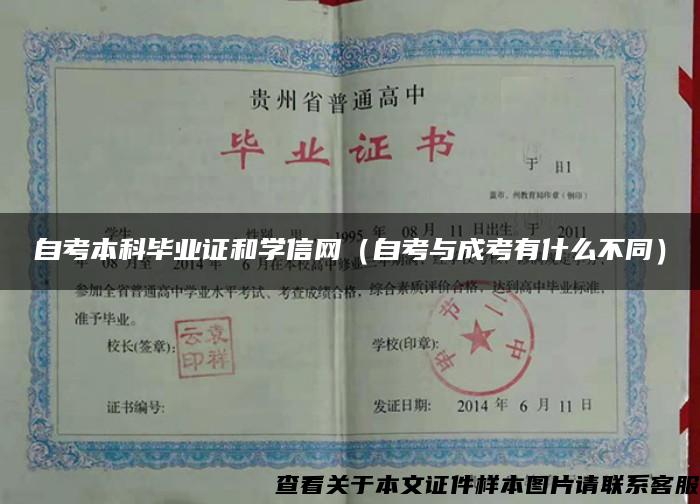 自考本科毕业证和学信网（自考与成考有什么不同）