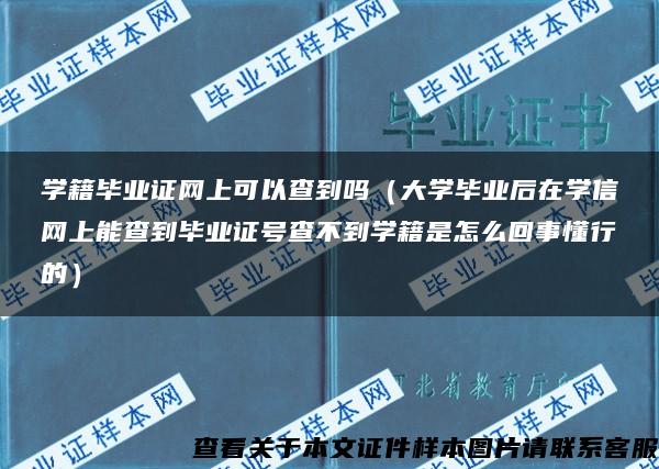 学籍毕业证网上可以查到吗（大学毕业后在学信网上能查到毕业证号查不到学籍是怎么回事懂行的）