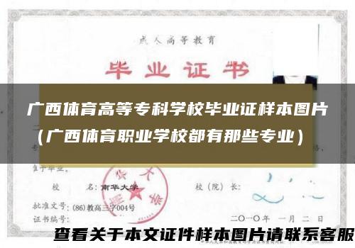 广西体育高等专科学校毕业证样本图片（广西体育职业学校都有那些专业）