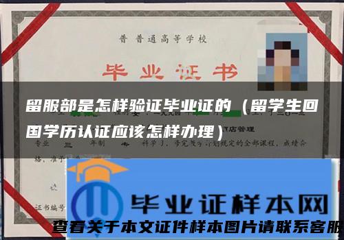 留服部是怎样验证毕业证的（留学生回国学历认证应该怎样办理）