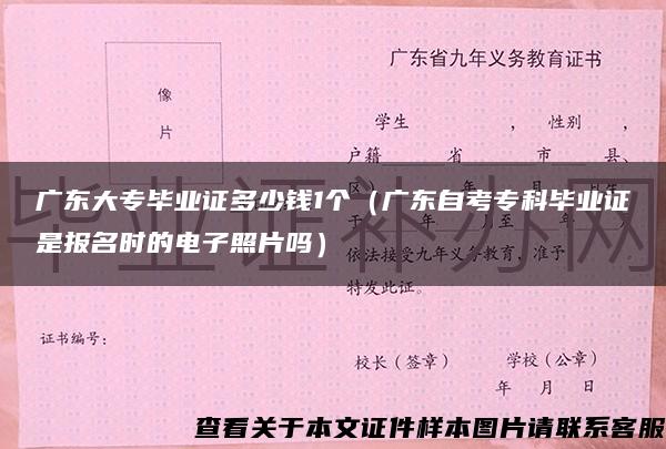 广东大专毕业证多少钱1个（广东自考专科毕业证是报名时的电子照片吗）