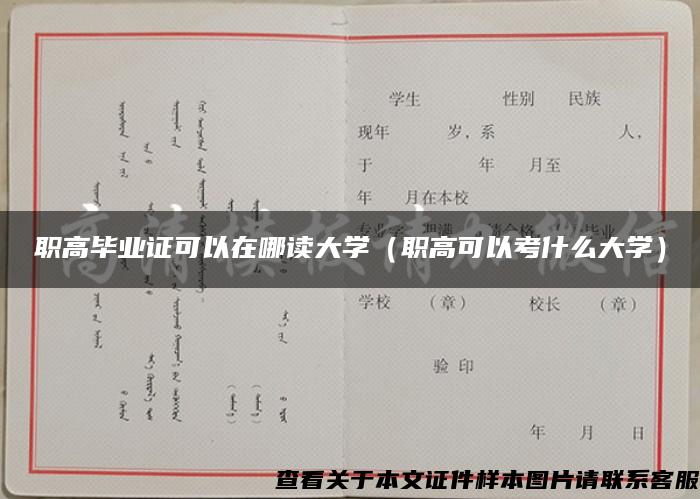 职高毕业证可以在哪读大学（职高可以考什么大学）