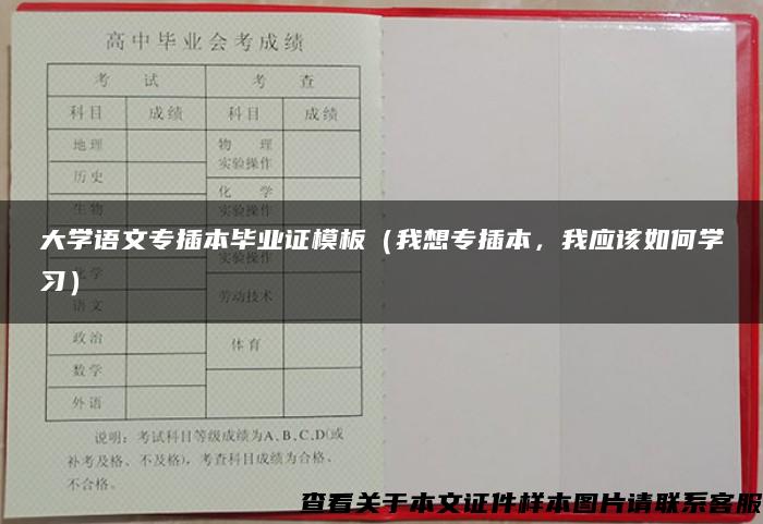 大学语文专插本毕业证模板（我想专插本，我应该如何学习）