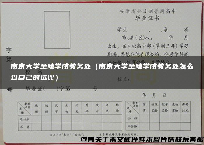 南京大学金陵学院教务处（南京大学金陵学院教务处怎么查自己的选课）