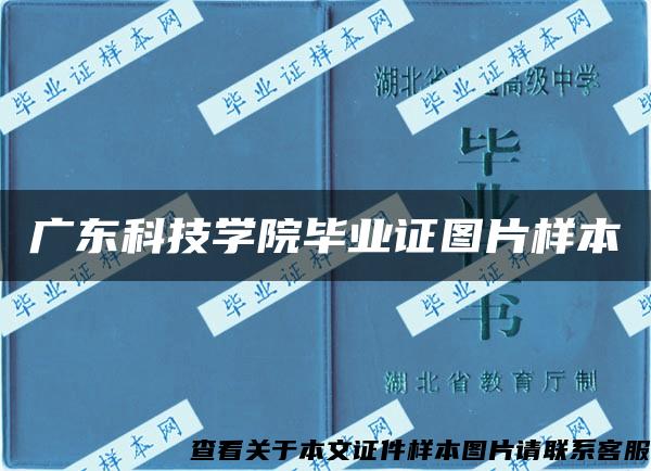 广东科技学院毕业证图片样本