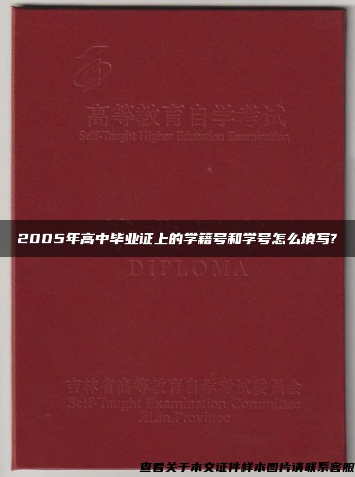 2005年高中毕业证上的学籍号和学号怎么填写?